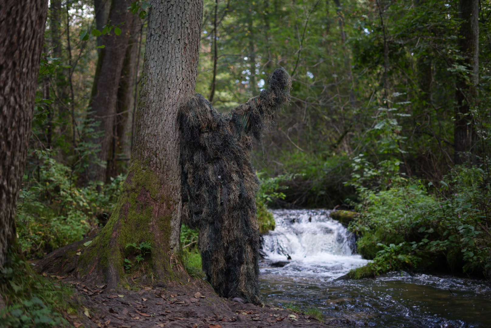 You are currently viewing Roztocze dla Parku Żywiołów