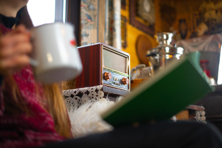 Read more about the article Retropolis