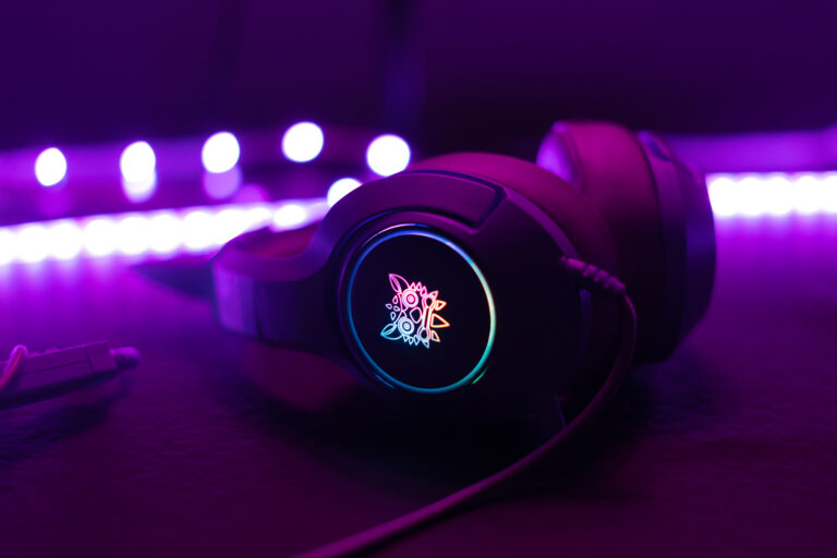 Read more about the article Akcesoria od Pantherise